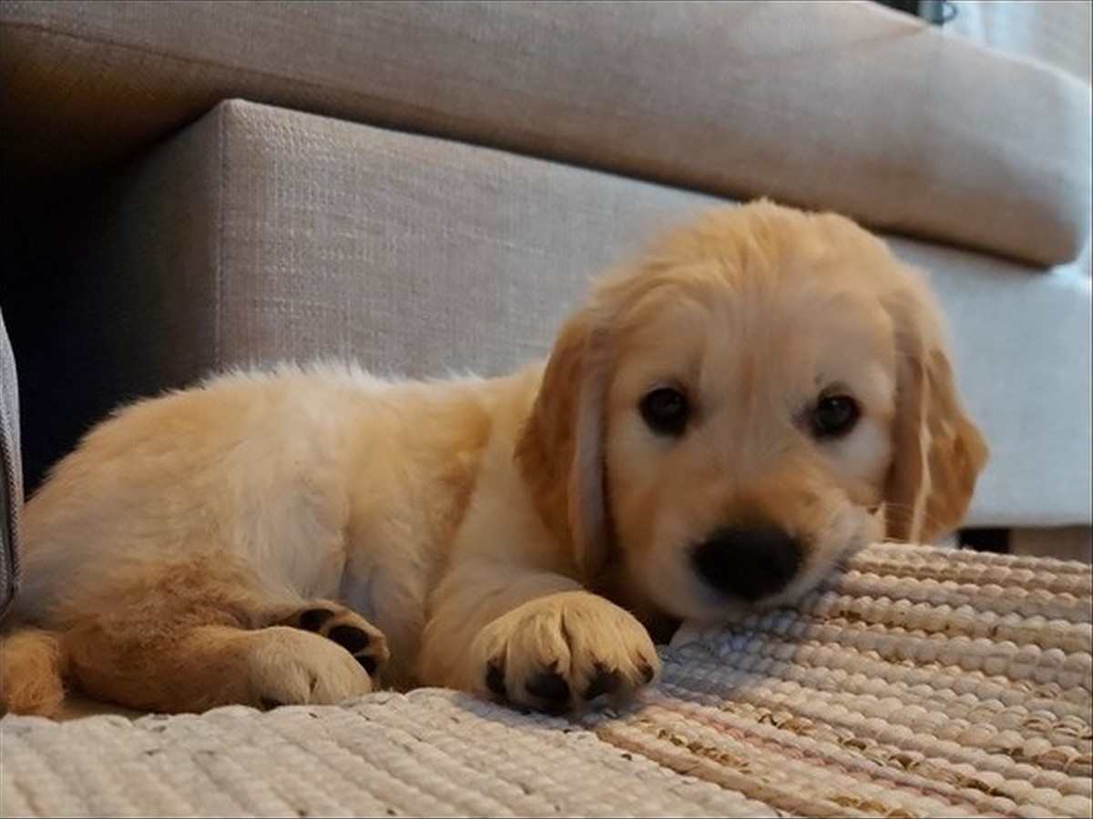 Beacon, photo 2